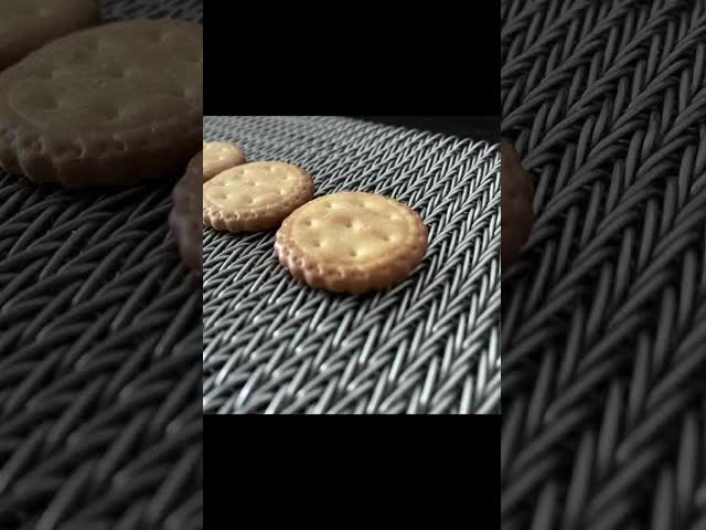 High Temperture Resistant Wire Mesh Conveyor Belt For Heat Treatment