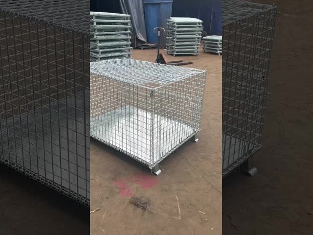 Foldable storage cage with mesh cover