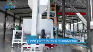 China Automatic Corn Flakes processing line&roasted corn flakes processing line/corn flake making machine supplier