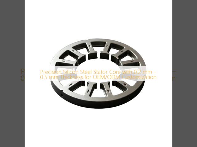 Precision Silicon Steel Stator Core with 0.2 mm – 0.5 mm Thickness for OEM/ODM Customization