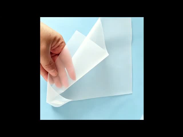 Non - Toxic 100% Nylon Mesh Filter Fabric 5T-165T For Filtering Bag , FDA Certification