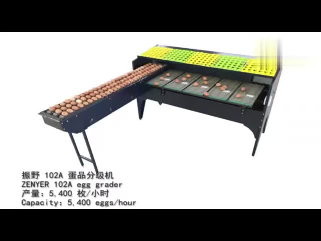 Stainless Steel Material 5 Grade Egg Sorter Grading and Candling Machine