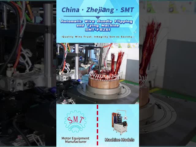 6 Servo Flip Double Side Stator Lacing Machine, Stack Height 30–160mm, Automatic Flipping Dual Needle Coil Binding For Household Appliance & Induction Motor Stator Production