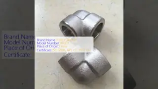Quality Forged Pipe Fitting - Pressure Range 2000LB-9000LB 100% PMI Tested