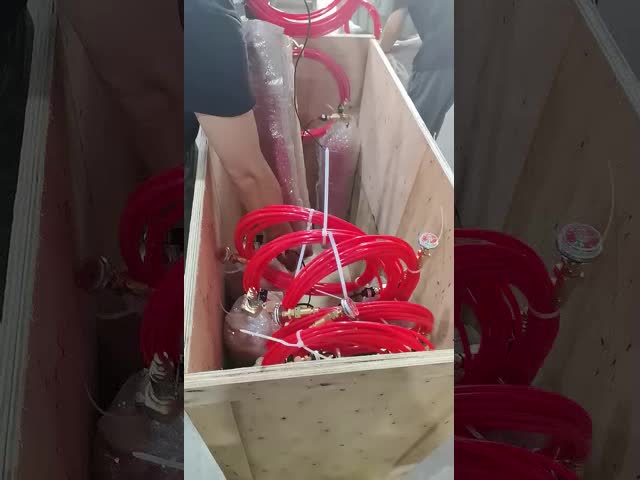 High Pressure Indirect CO2 Gas Fire Suppression System with Release Nozzle for Industrial Use