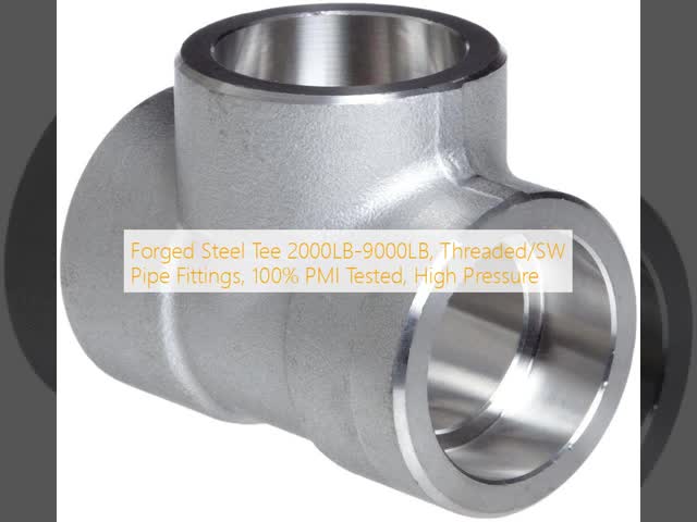 Forged Steel Pipe Fittings SW/Treaded 2000LB-9000LB 100% PMI Test