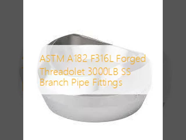 METAL Stainless Steel Threadolet Reducing ASTM A182 316L 2