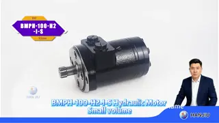 Hydraulic gerotor orbit  motor BMPH-100-H2-I-S,2 holes flange, 13T spline shaft 7/8-14unf ports