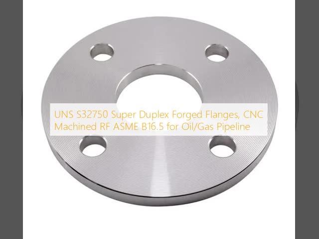 UNS32750 Forged Steel Flange Precision CNC Machined ISO9001 Customizable Options