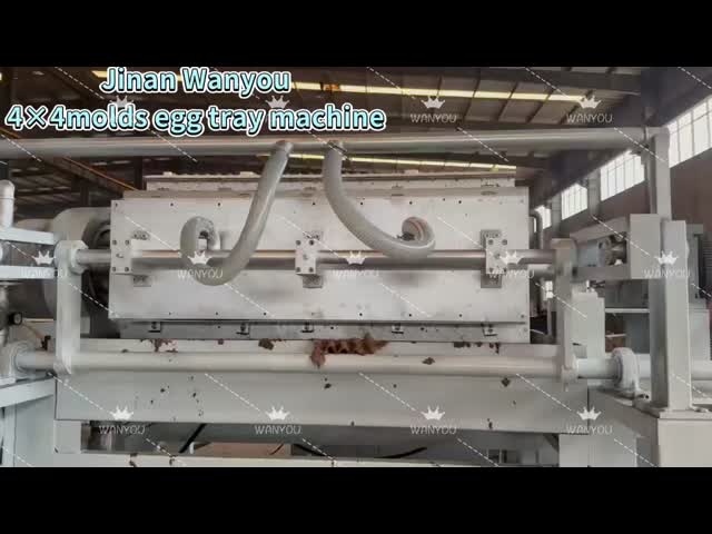2500-5000pcs/h Apple Tray Paper Egg Tray Machine Egg Carton Production Line Energy Saving PLC Controlled