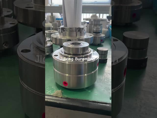double cartridge seal for mixer #mechanicalseal #pumpequipment