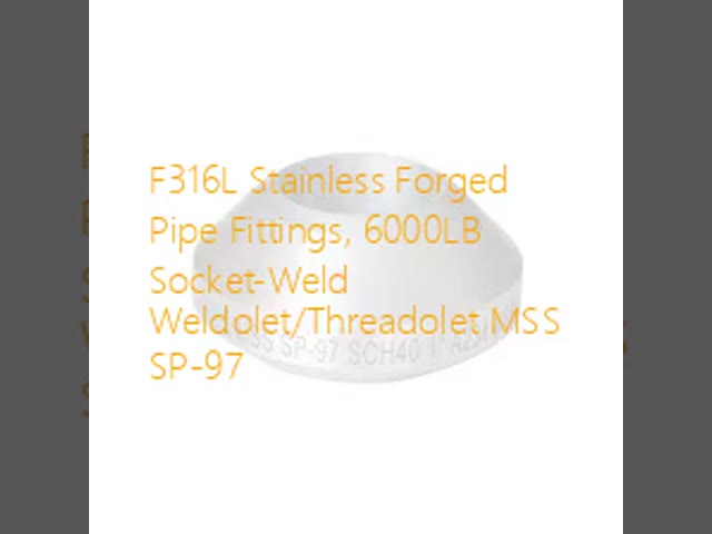 F316L Stainless Steel Weldolet Forged Pipe Fitting with 6000LB Pressure Rating and MSS SP-97 Standard