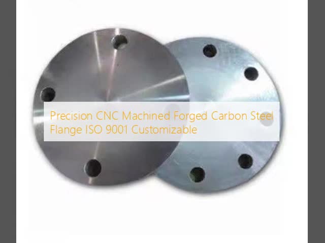 S32304 S32205 S31803 F53 F55 F60 Flange Forged Fittings Marine-Grade for Ultimate Corrosion Resistance and Durability