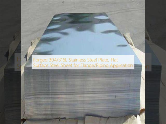 DN15-DN100 304/316L 347L Stainless Steel Plate Flange Flat Face Forged