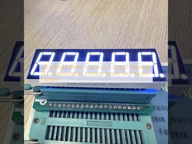 Ultra Bright White 0.56-inch 5-Digit 7 Segment LED Display with Common Anode for Process Control