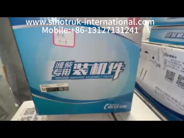 Fuel Filter WG9412551301/2 Original Fctory
