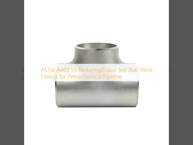 ASME B16.9 304/316L Stainless Steel Tee, Butt-Weld Equal Fitting for Piping System
