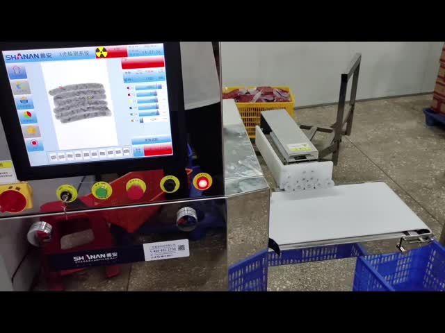 Food Grade X Ray Detection Equipment for Shrimp Crab Shellfish Oyster Scallop Clam Foreign Object Screening