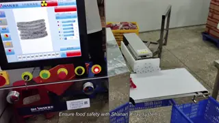 Food Grade X Ray Detection Equipment for Shrimp Crab Shellfish Oyster Scallop Clam Foreign Object Screening