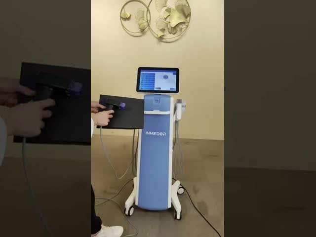 12.1Inch Touch Screen Collagen Regeneration Ice Hammer EMS Fractional RF Microneedling Machine
