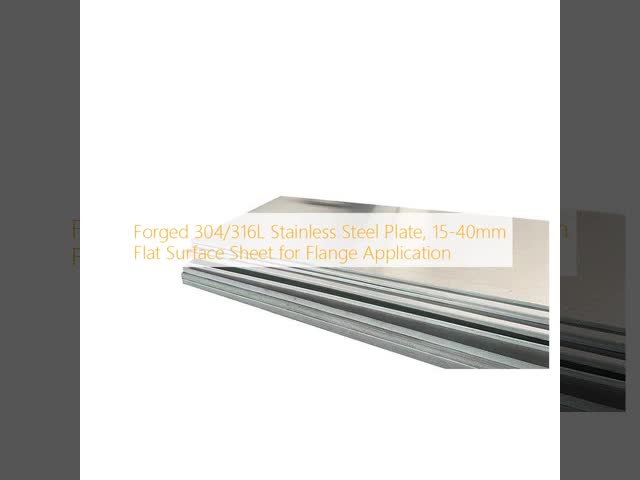Forged 304/316L Stainless Steel Plate, 15-40mm Flat Surface Sheet for Flange Application