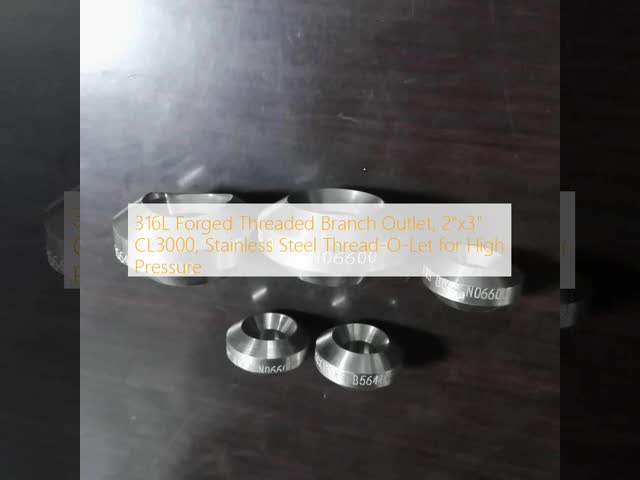 316L Stainless Steel Threadolet 2