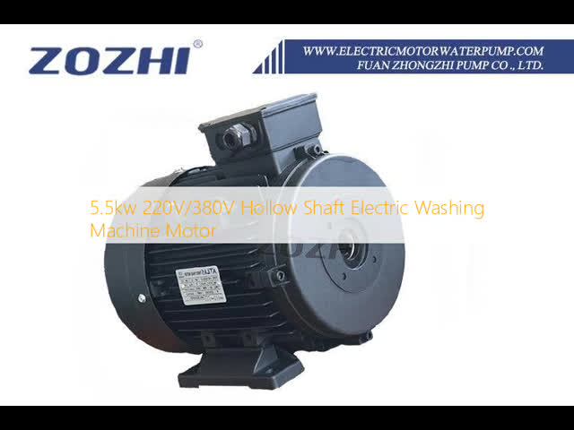 5.5kW Hollow Shaft Motor for High Pressure Washer Systems with Aluminum Housing