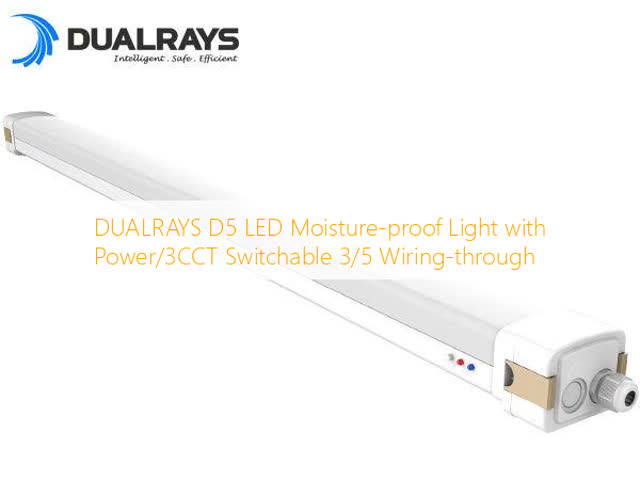 Emergency LED Tri Proof Light IP65 No Toxic Heavy Metals 5 Years Guarantee