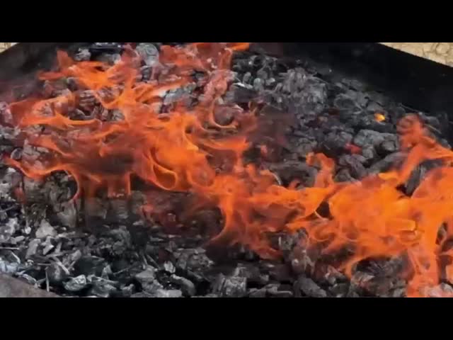 二氧化碳机器狗