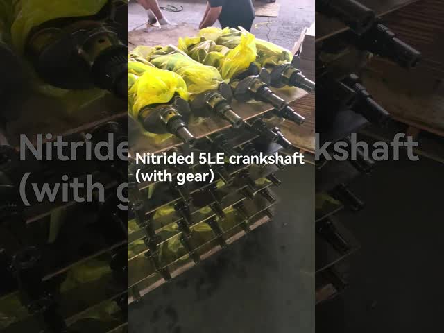 Nitrided 5LE Crankshaft with Gear and Sensor for Toyota Diesel Engine
