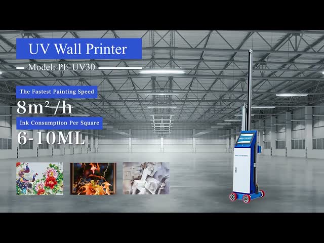 Economical Wheel Type UV Wall Printer