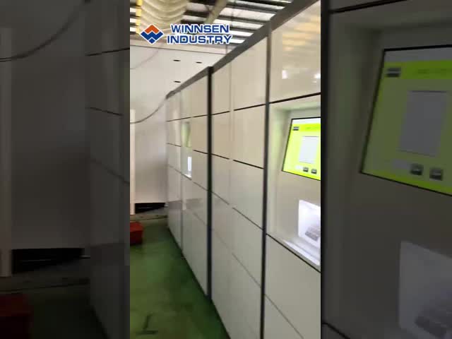 Winnsen High Density Smart Parcel Locker with 15