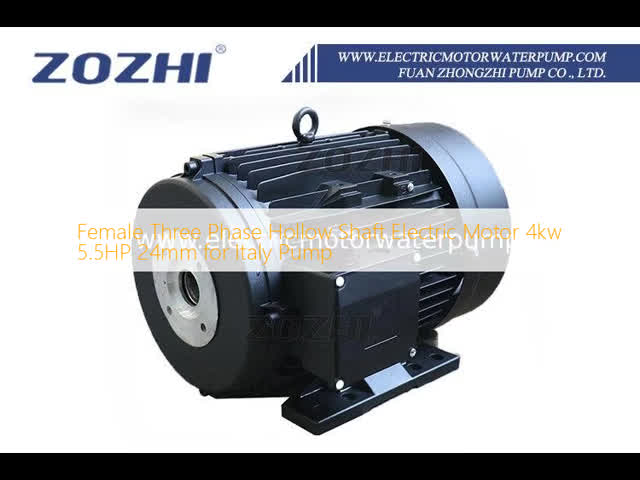 4kw 5.5HP High Pressure Cleaners Motor With Hollow Shaft Three Phase