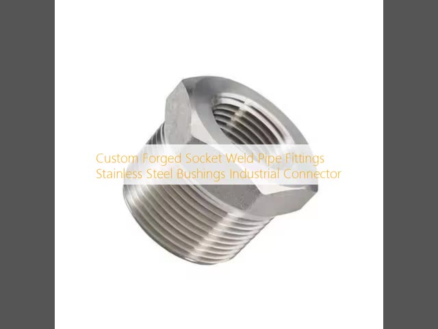 Customized Stainless Steel Socket Weld Forged Pipe Fittings and Bushings for Industrial Use