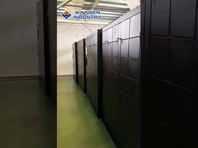 Winnsen 24/7 Self-service Smart Parcel Locker with 600 Doors and Cloud Remote Management