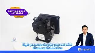 BMSY100 hydraulic low speed high torque wheel motor with crossover relief valve
