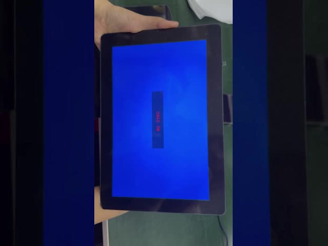 10.1 Inch IPS LCD Module with Capacitive Touch