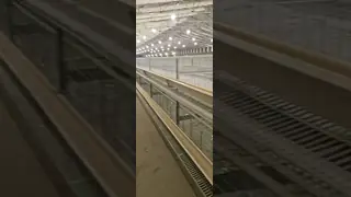 China Stack‑type Breeder Cage supplier