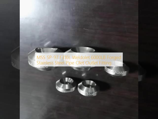 F316L Stainless Steel Weldolet Forged Pipe Fitting with 6000LB Pressure Rating and MSS SP-97 Standard