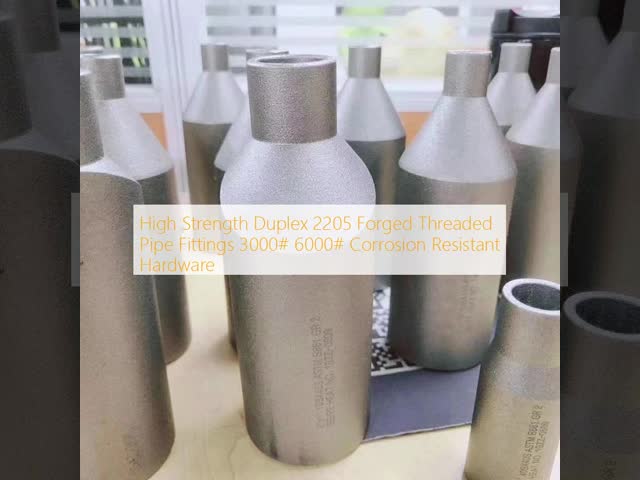 Duplex 2205 Alloy Steel Threaded Pipe Nipple 3000# 6000# SCH 80 Forged Fitting