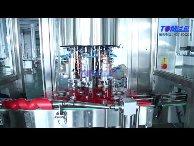 Advanced Automatic Vacuum Capping Machine with 6/8 Heads