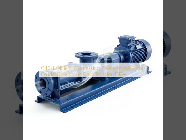 4kW Progressing Cavity Screw Pump for Crude Oil and Viscous Fluid Transfer