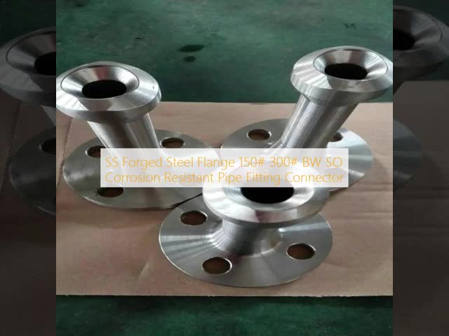 150# 300# Corrosion Resistant SS BW SO Forged Steel Flanges and Pipe Fittings