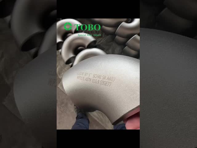 317L Stainless Steel Elbow