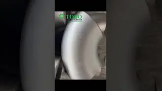 317L Stainless Steel Elbow