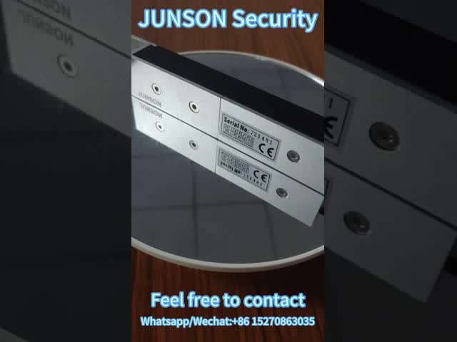 Outside Door Electromagnetic Lock 600LBS IP67 Waterproof Single Door Magnetic Lock