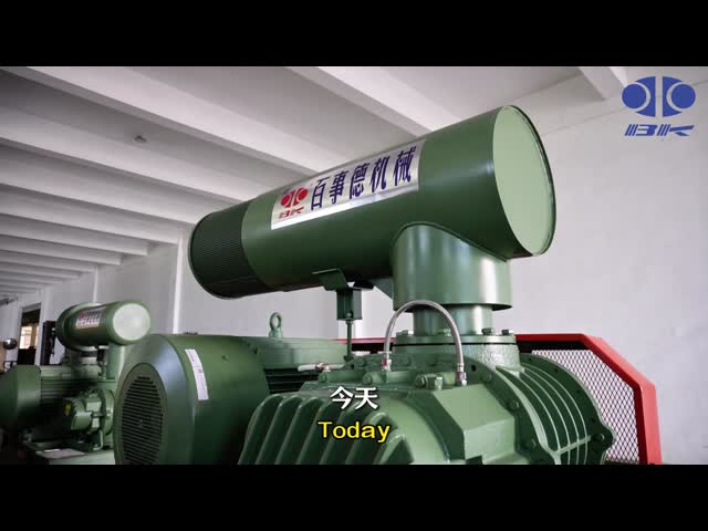 BKW4007 Water Cooled Roots Blower DN50 100KPA for Wastewater Treatment