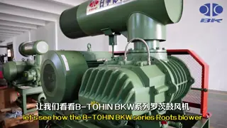 BKW4007 Water Cooled Roots Blower DN50 100KPA for Wastewater Treatment