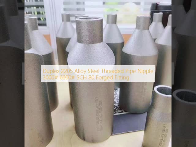 Duplex 2205 Alloy Steel 3000# 6000# Threaded Pipe Nipple, Forged Fittings Sch 80