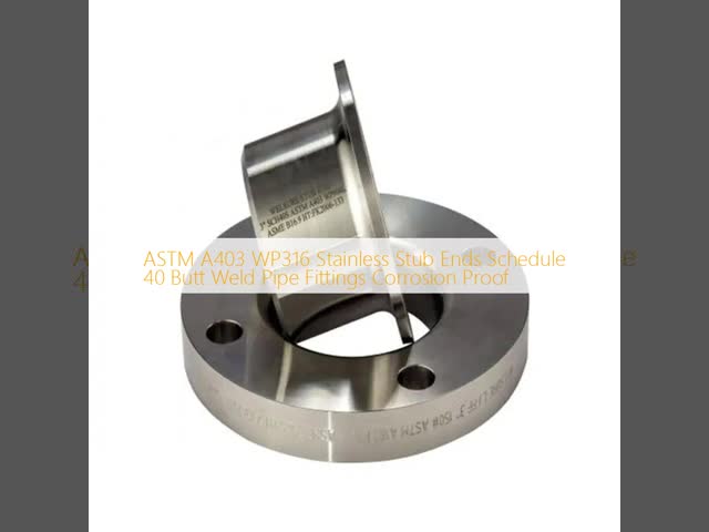 ASTM A403 WP316 Stainless Stub Ends Schedule 40 Butt Weld Pipe Fittings Corrosion Proof